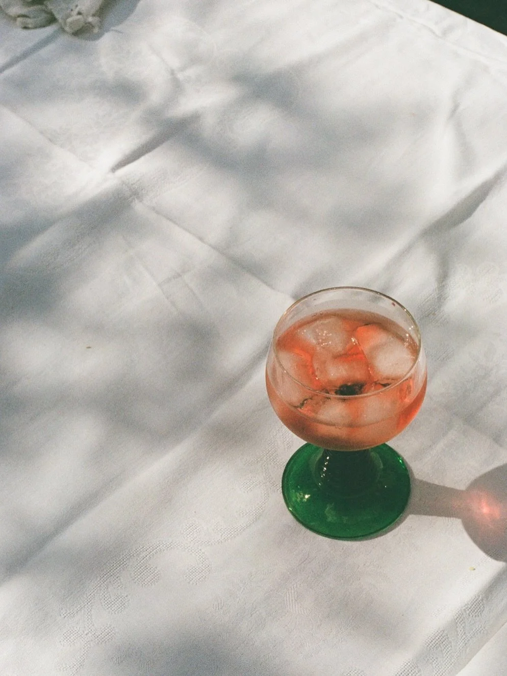 june days at home, june 2026. ●
summer days with my family = quality time, iced drinks, cute doggos (including the best photo of my entire career on the last slide) and watching veggies ripen in the garden 🌞

📷 minolta x700
🎞️ kodak ultramax
⏱️ de