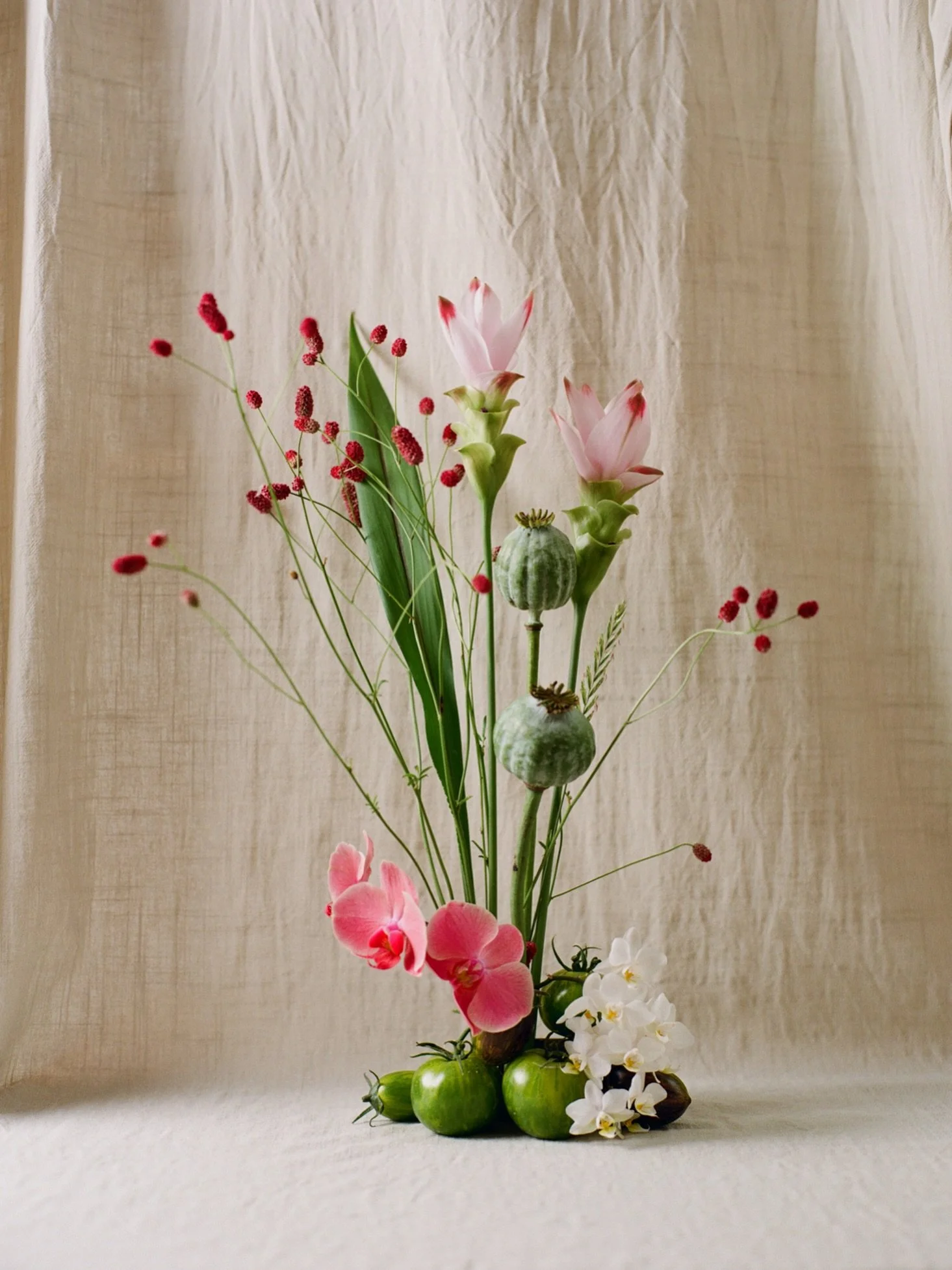 pink &amp; green, july 2026. ●
turmeric flowers, poppy seedpods, great burnet, orchid flowers, green tomatoes.

new photo for my series "flowers of the afternoon", which is an ongoing series of still lives that came to life out of the neces