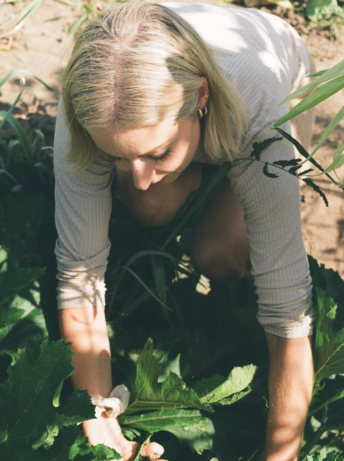 her garden, august 2026. ●
in the garden with @janineophetveld and her daughter, trying to capture autumn vibes on a 34 degree summer day haha 💞 our shoot was dedicated to janine's upcoming booklet "it's stew season", where she shares her 