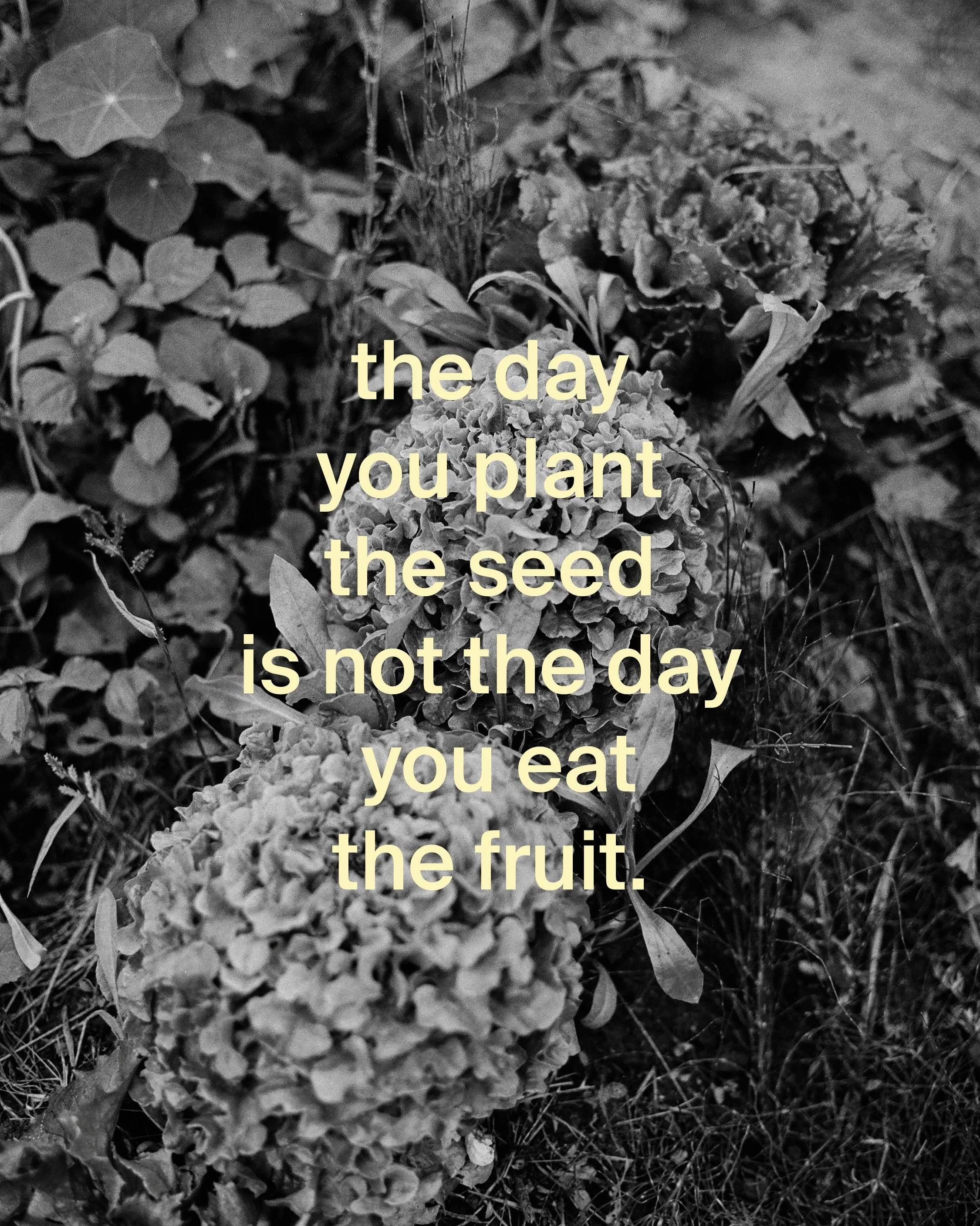the day you plant the seed
is not the day you eat the fruit.

this quote has been inspiring me lately and i think of it whenever i notice i am too hard on myself, thinking i make no progress, believing that i feel stuck and will never get anywhere. b