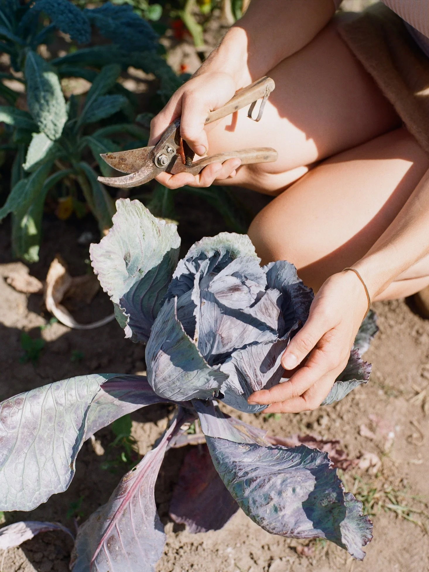 her garden, august 2026. ●
part two of the shoot with @janineophetveld for her new @_aendre_ booklet "it's stew season" 🤎

read more about the shoot in my previous post! 🥰

you can still pre-order the booklet and an ebook version is also 