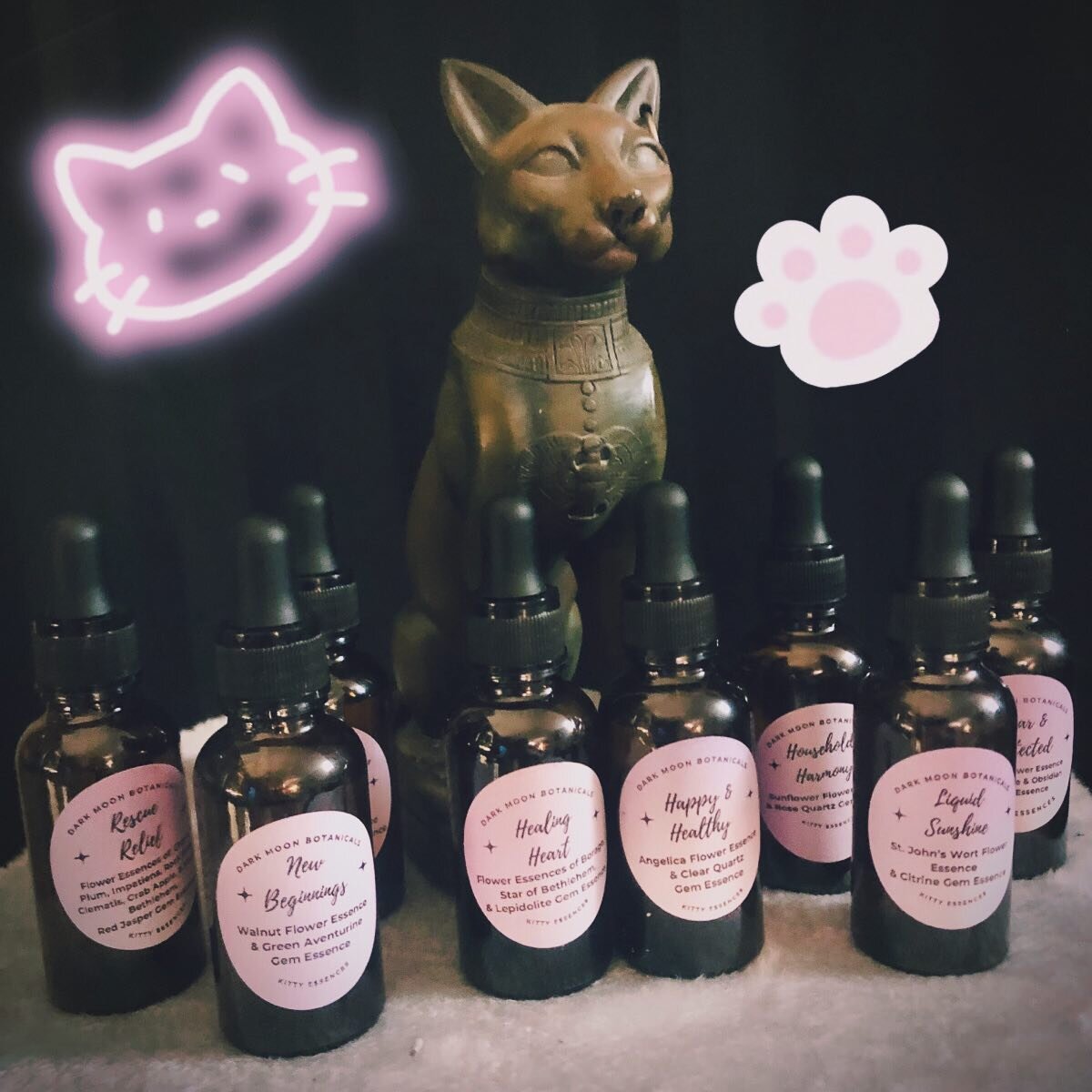 🌸🐈‍⬛🌸 for cat lovers & flower essence enthusiasts alike! Check out this new & exclusive line of kitty essences I made for you and your feline friends! @houseofblackcatmagic is the only place you can find em! If you’re local to As