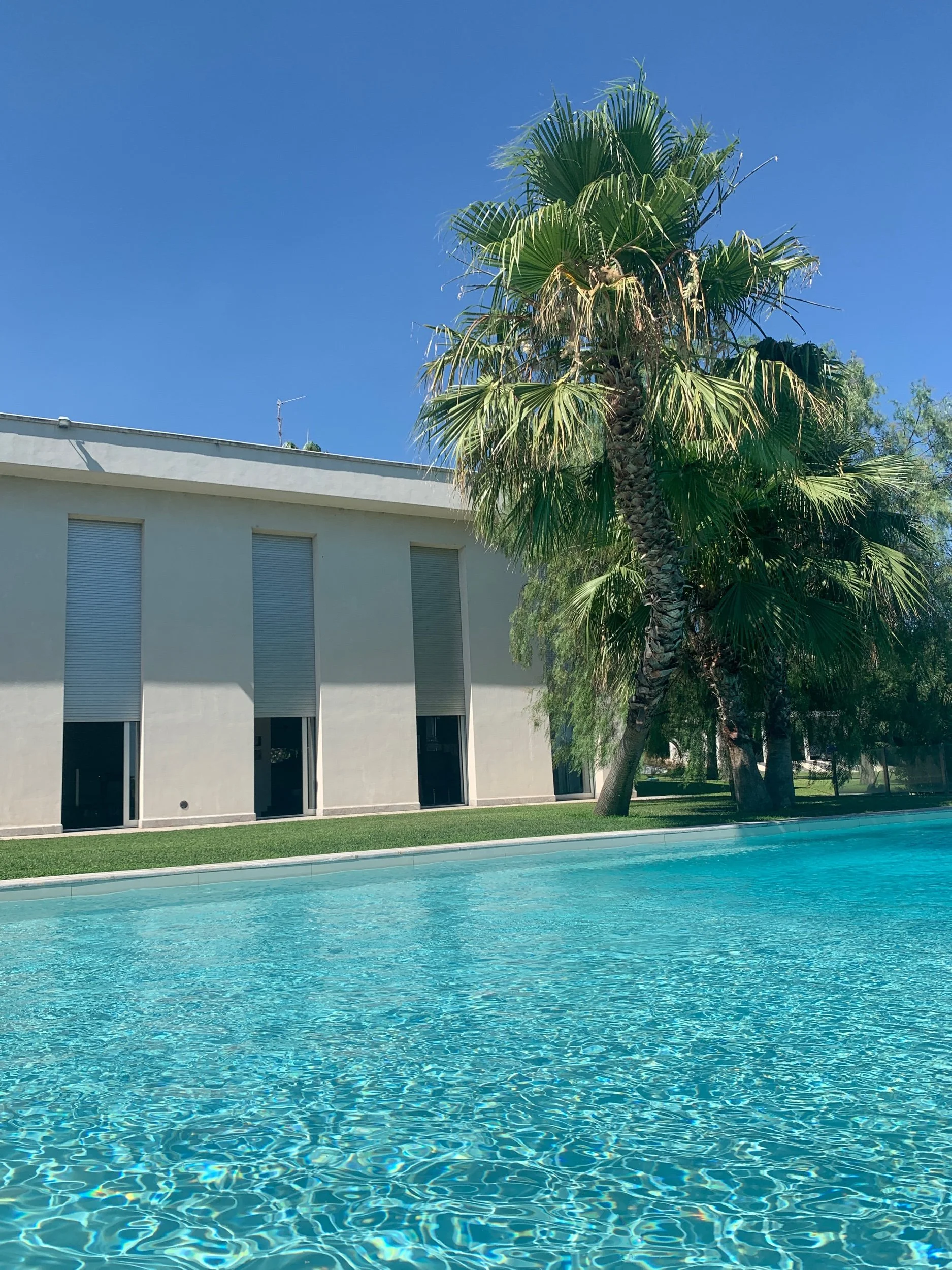 View of a swimming pool in front of a white building with shaded windows, a lawn, tall palm trees, and a clear blue sky.