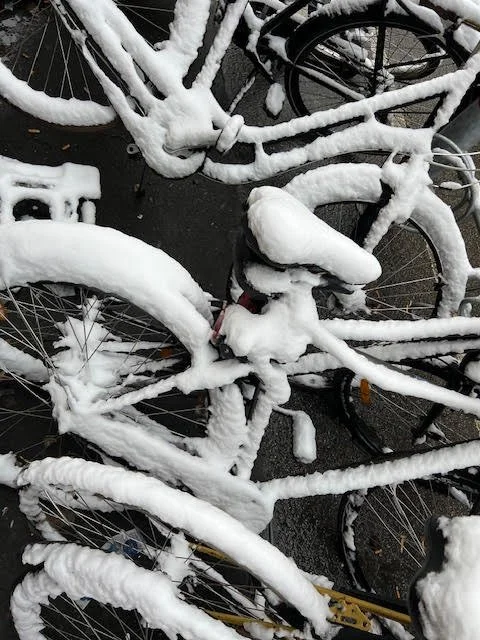 Bicycles covered in snow, parked together outside on a pavement.