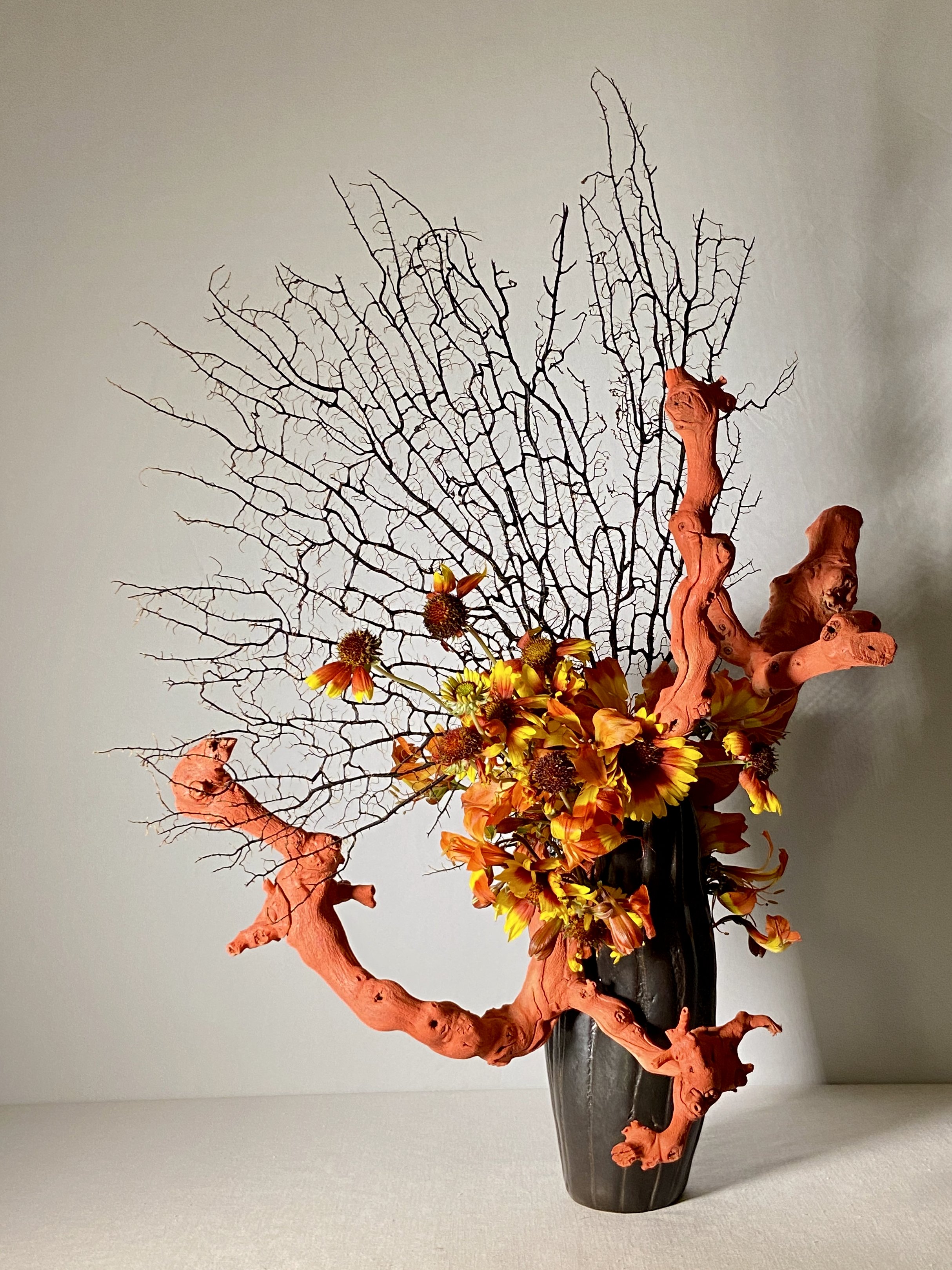 Hanadayori Online Exhibition – Melbourne, Australia: Sea Fan, Gallardia, Alstroemeria, Grape vine wood