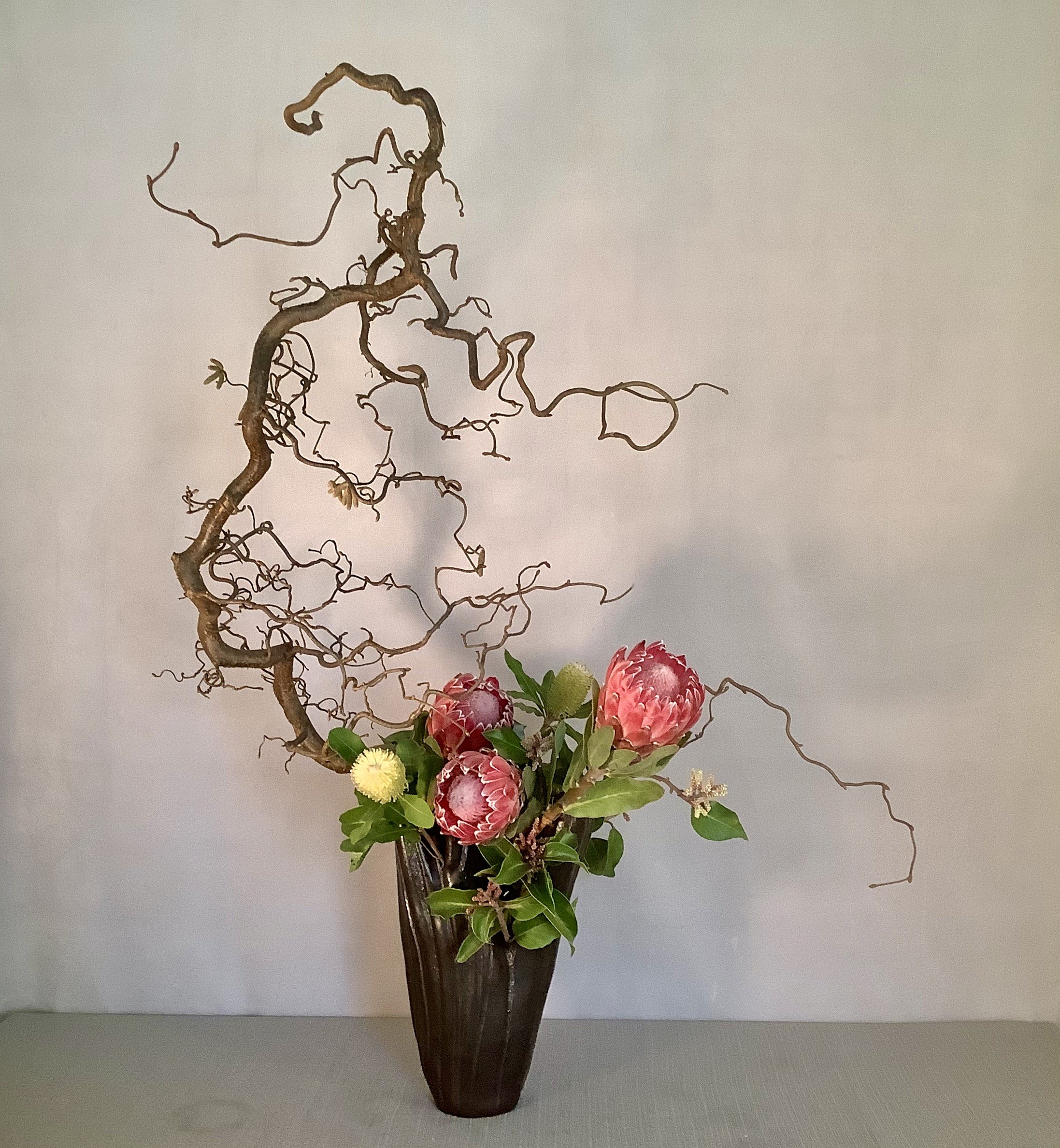 Karen's birthday: Harry Lauder's walking stick, Protea, Sumac