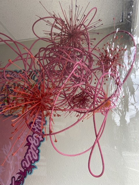 "Scribble" Artspan Installation at Beija Flor: Home grown Allium seedheads, Basket cane