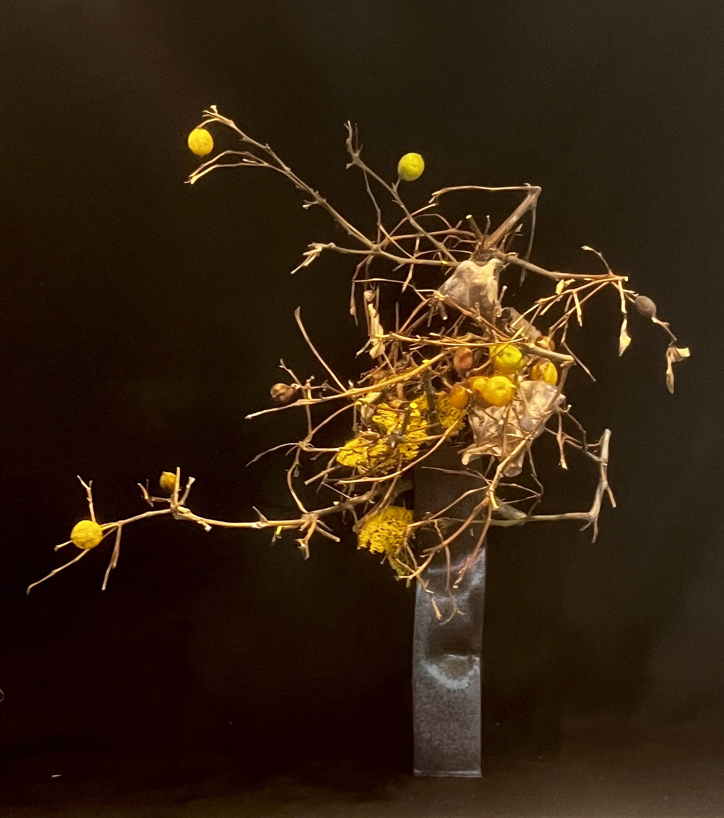 Feels like Autumn: Lemon branches, yarrow, dried anthurium leaves