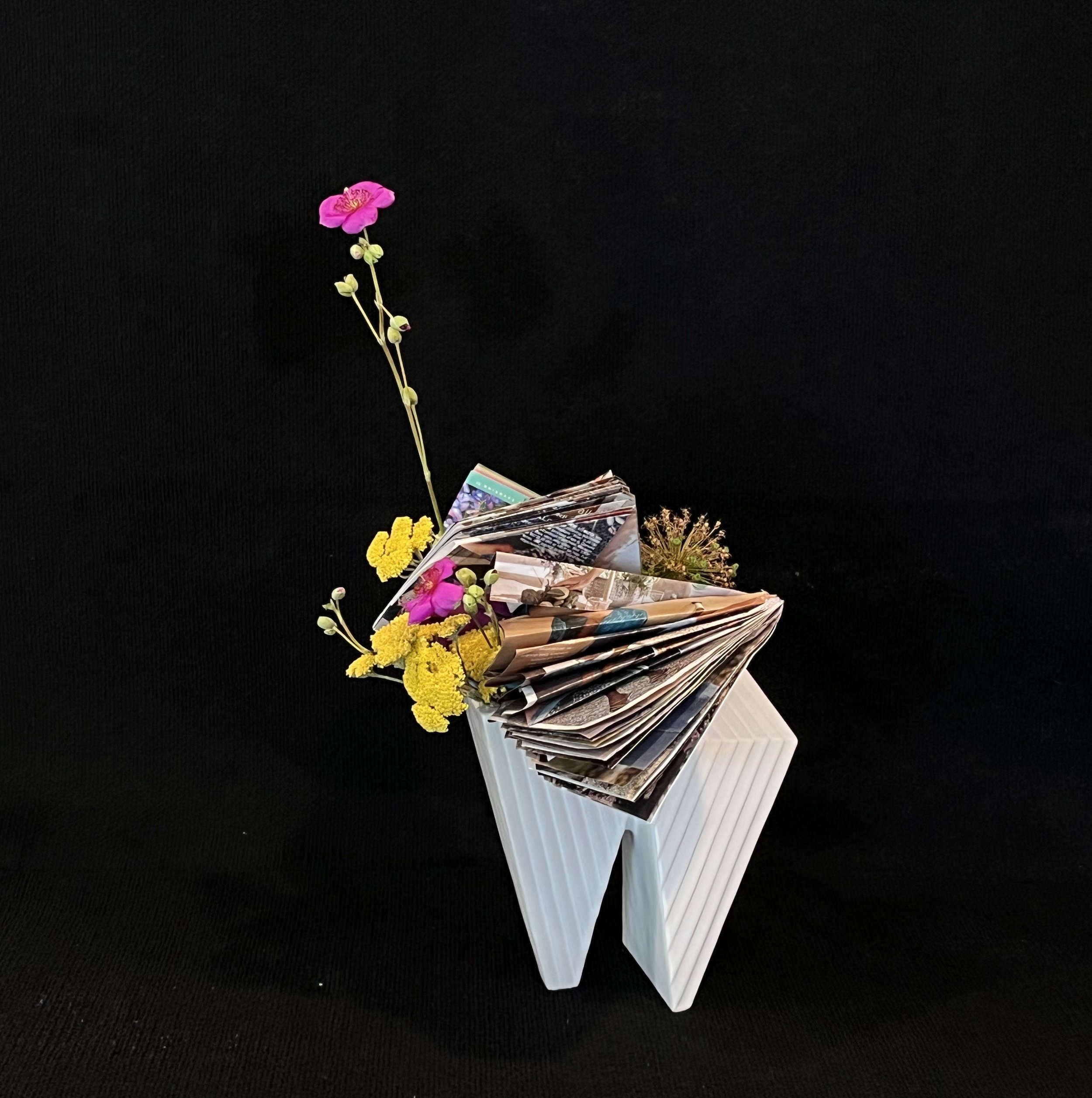 Unconventional: Calandrinia, Allium, Yarrow, Folded color catalogs