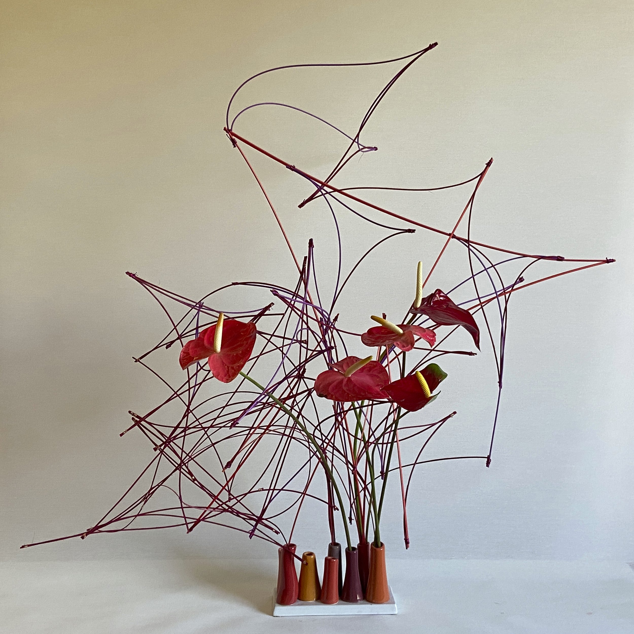 Valentines Day: Anthurium, Middolino