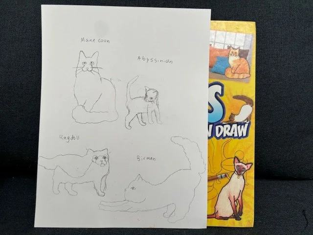 Drawings of cats