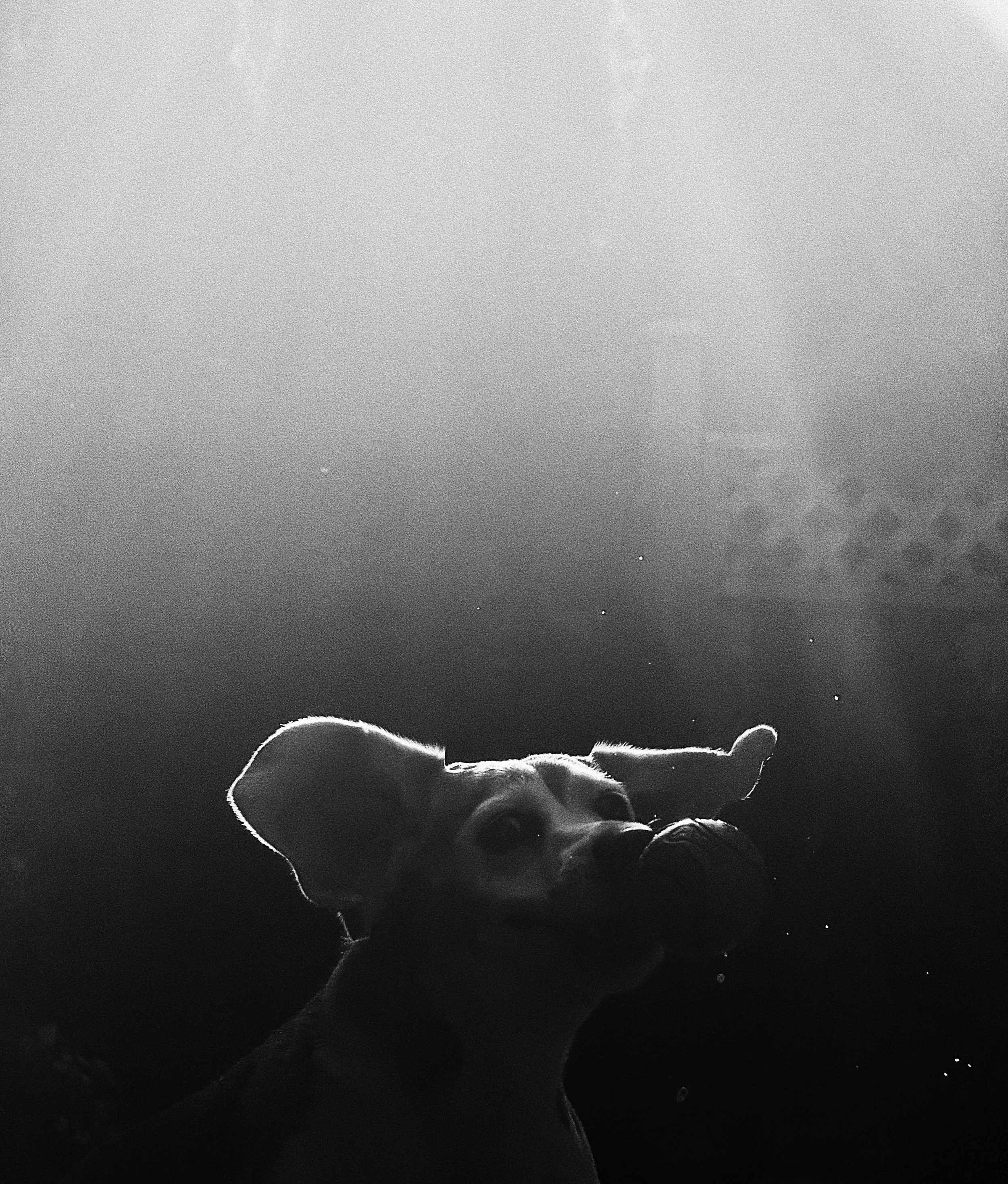 68160506-E7CB-4910-B025-99079A820375.jpeg
