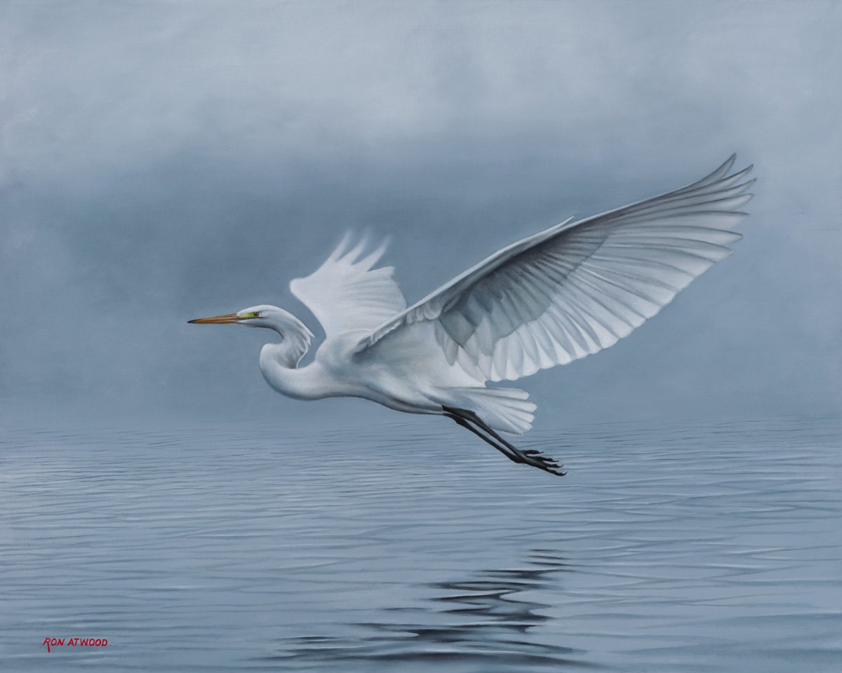 White Out Egret II