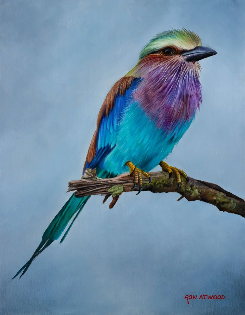Lilac-Breasted Roller