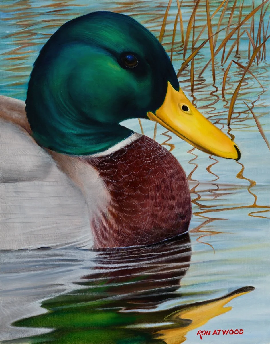 Green Head