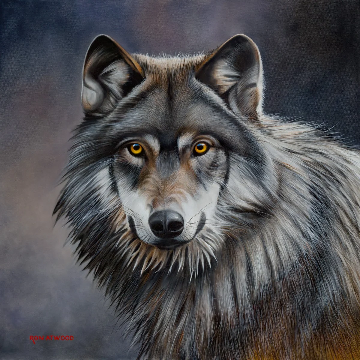 Grey Wolf