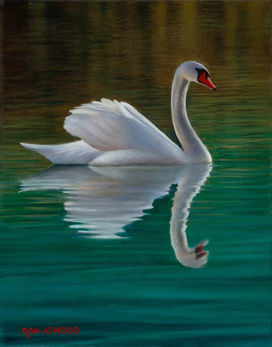 Elegant Reflections