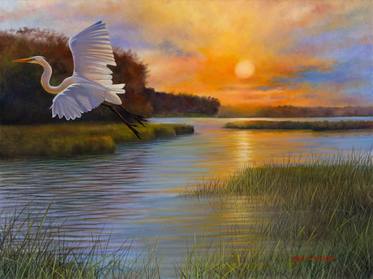 Evening Flight