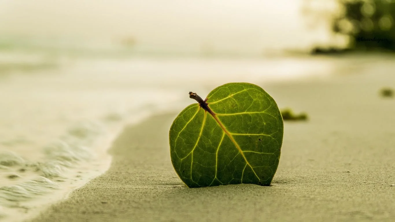 The Worst Day of My Life