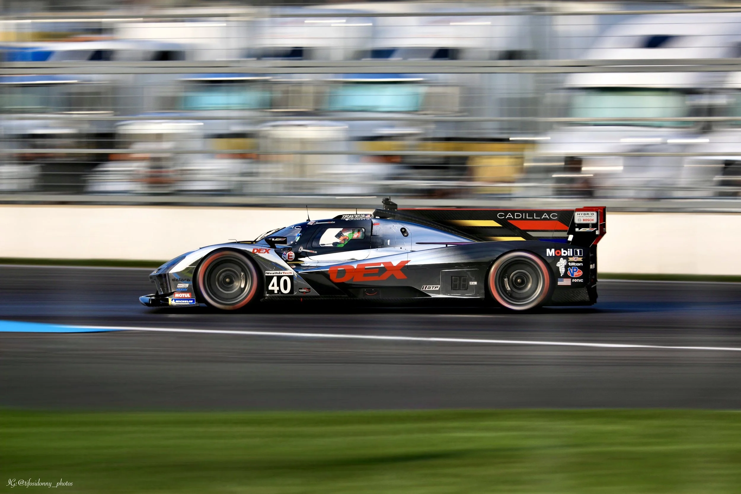 TifosiDonnyPhotos Web2.jpg