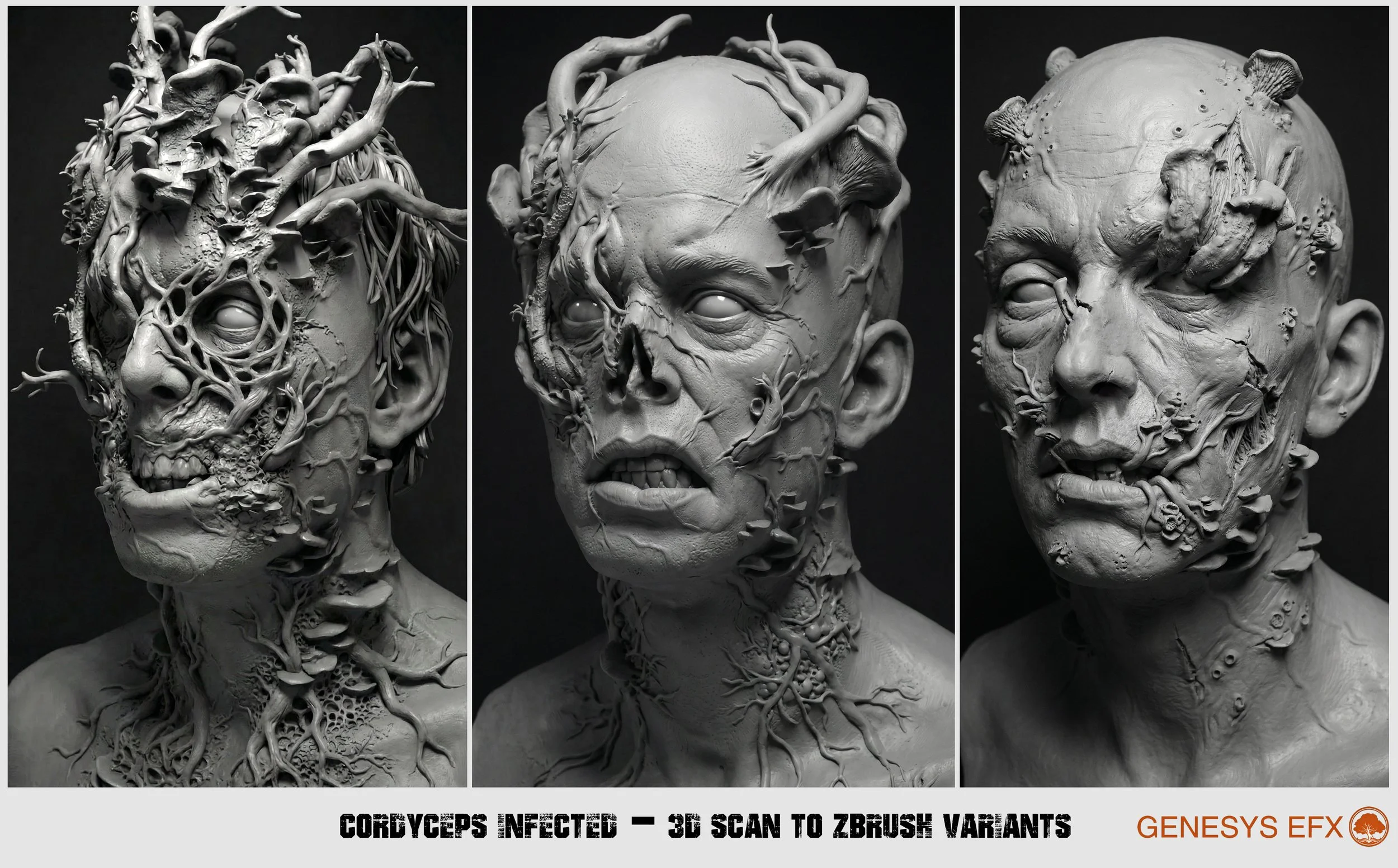 GENEFX_CORDYCEPSVARIANTS_BUSTSCANTO_SCULPTS_01.jpg