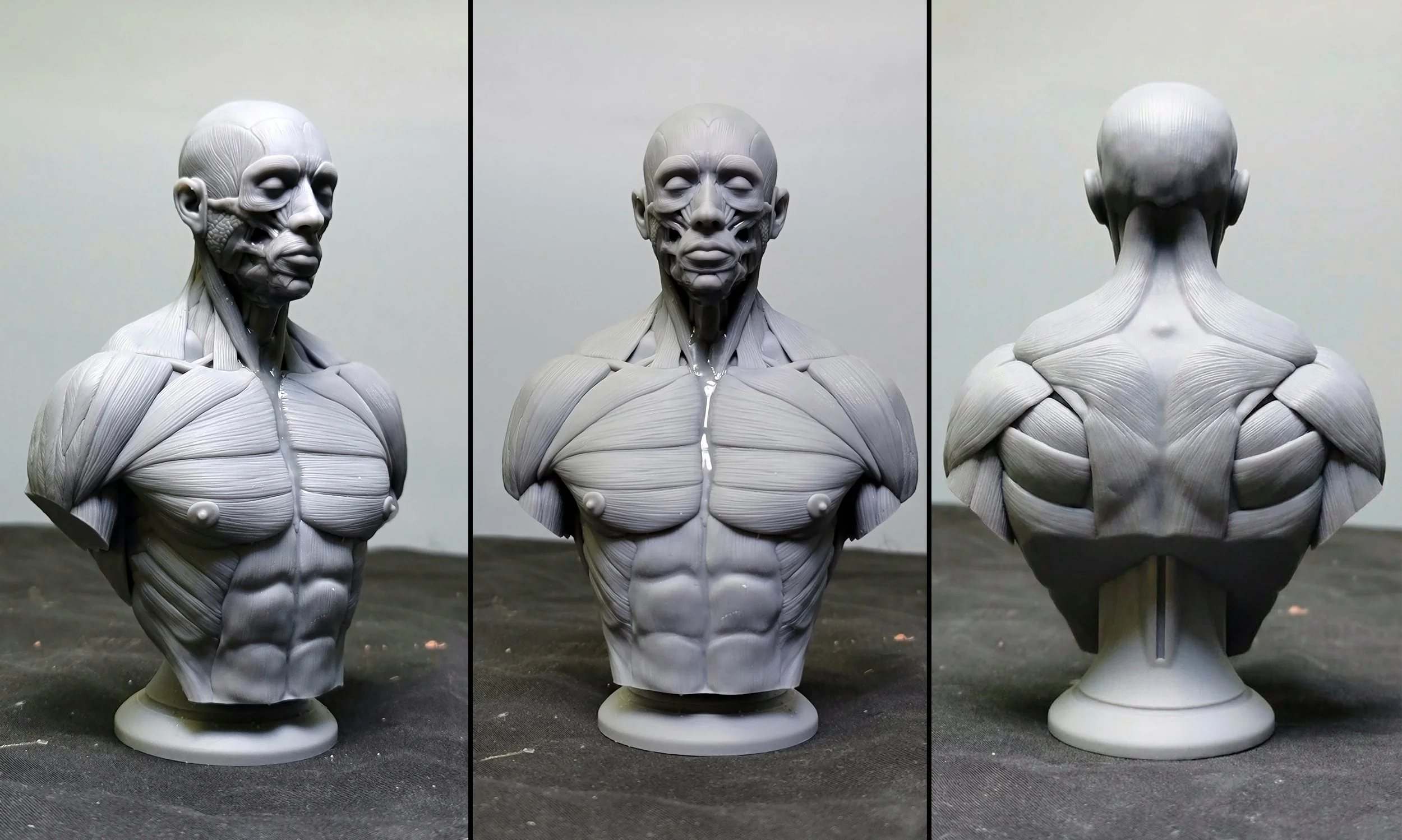 GENEFX_ECORCHE_MAQUETTE_MALEBUST_01.jpg
