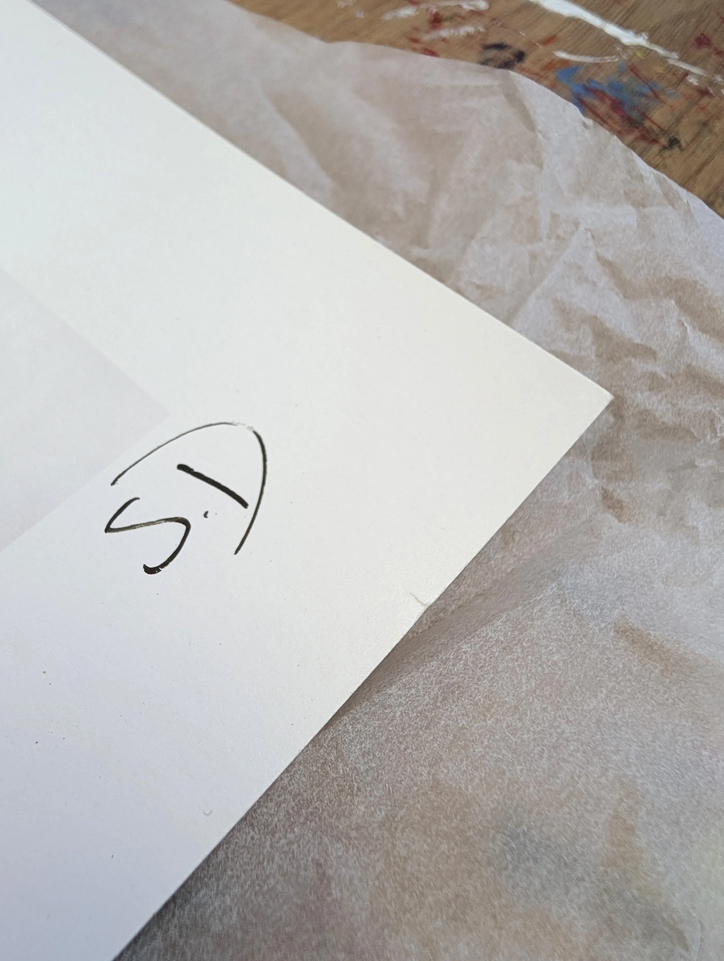 negate Black seconds 1 corner.jpg