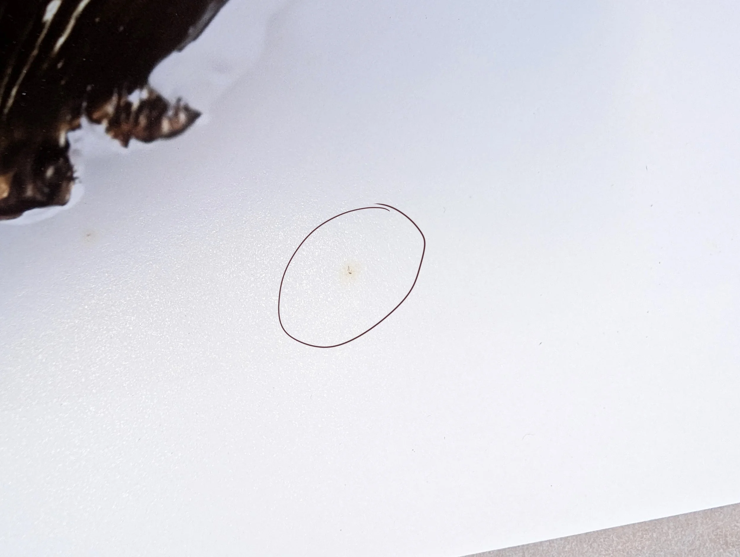 Seconds Negate - mark.jpg