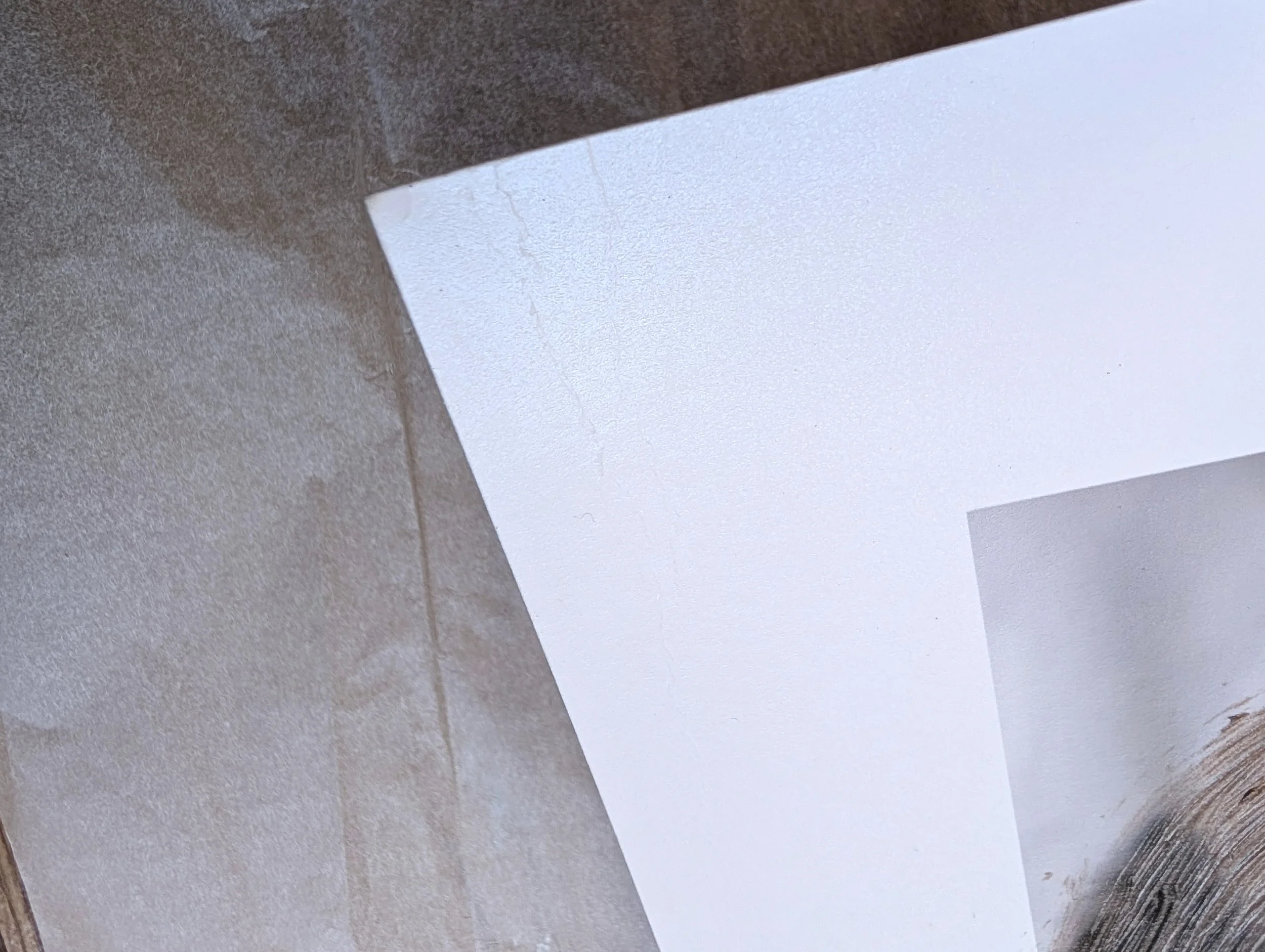 Seconds Negate black - corner.jpg