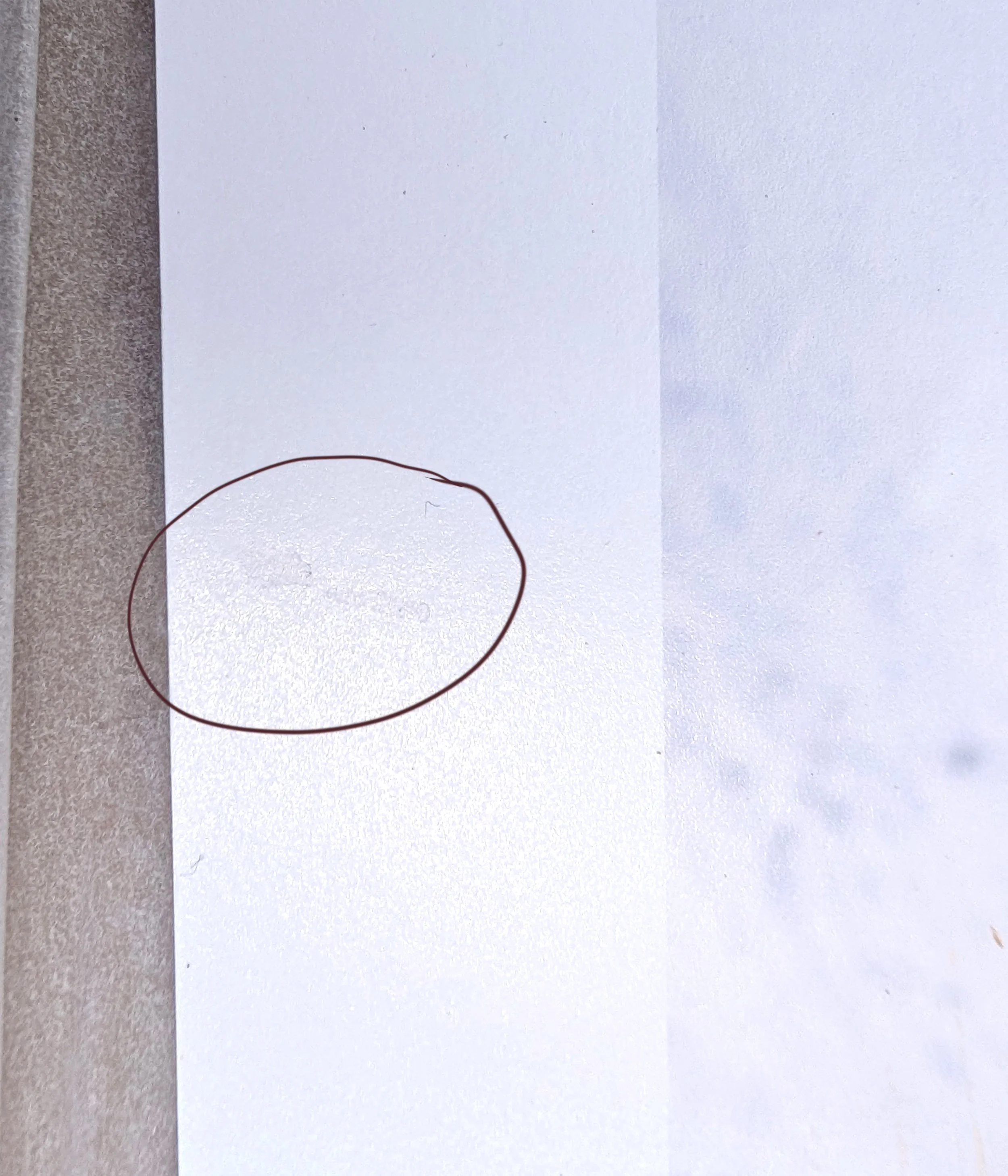 Seconds Negate - splash.jpg