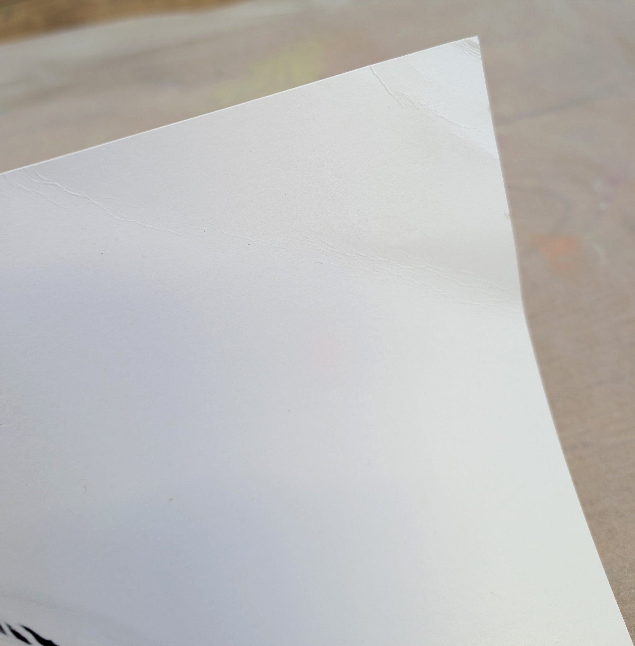 Seconds Negate - corner.jpg