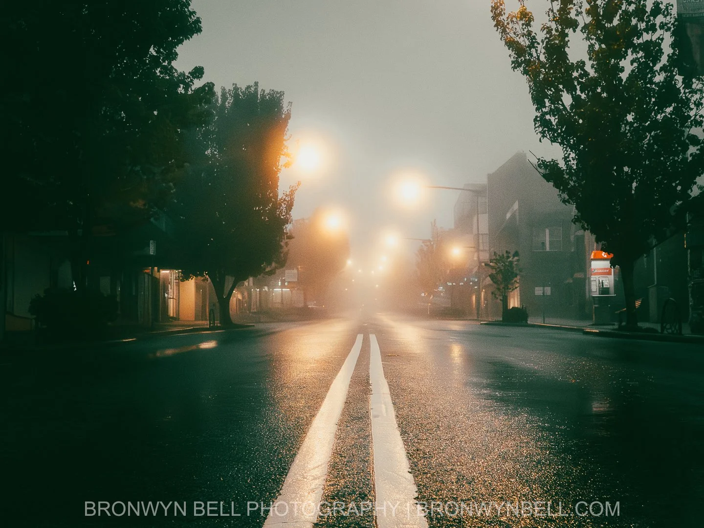 Before sunrise, rainwater pools across the road, reflecting streetlights through thick mountain fog. This pre-dawn scene in Katoomba captures the cinematic interplay of light, water, and mist, revealing the moody atmosphere of a cold Blue Mountains m