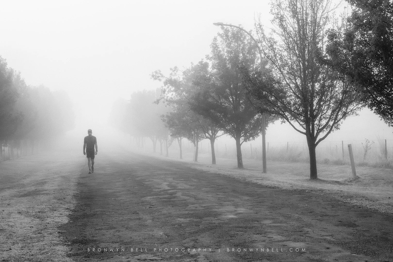 A person walking on a foggy dirt road lined with trees and a fence.