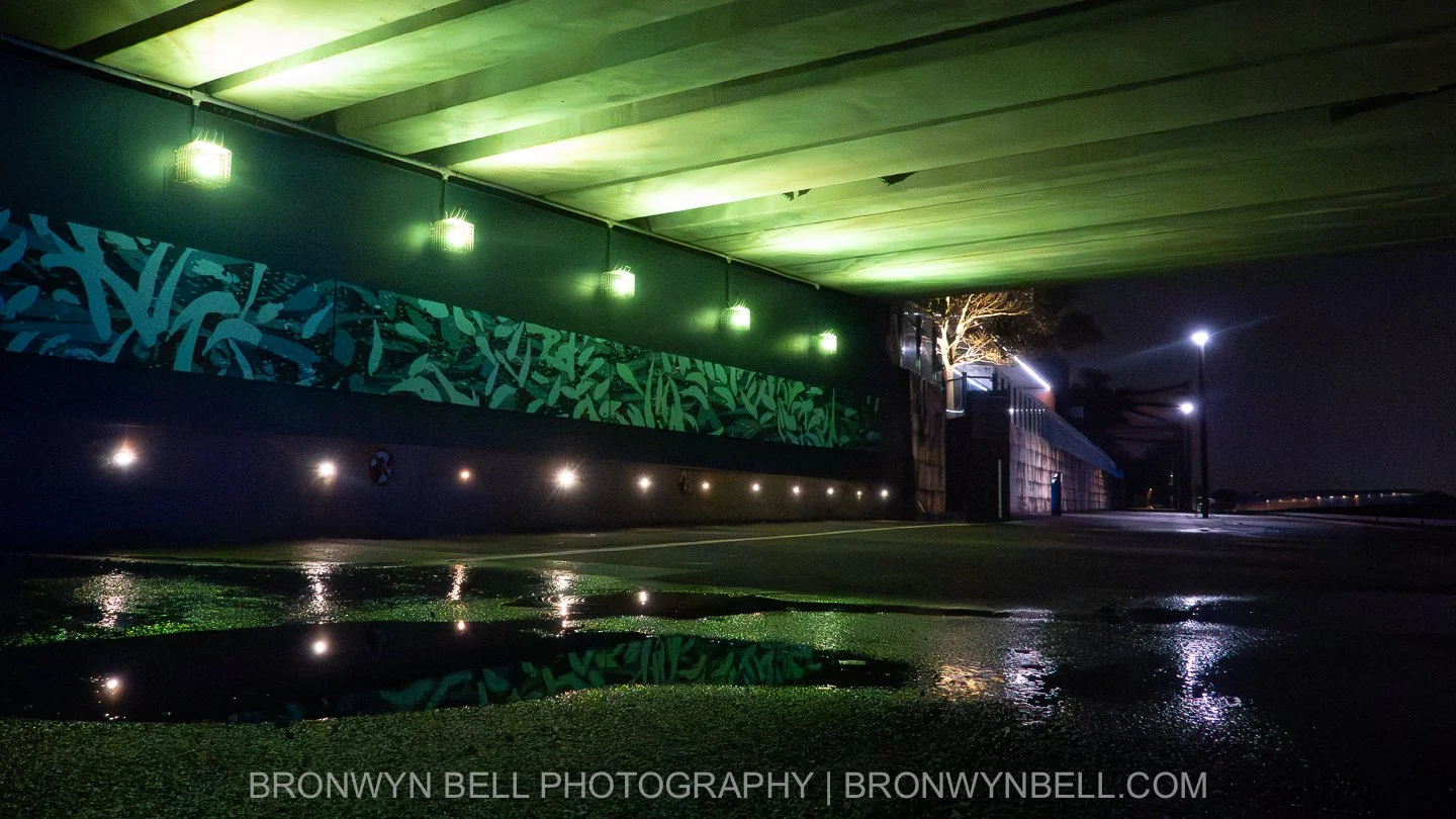 Rhdoes After Dark Series 2-5.jpg