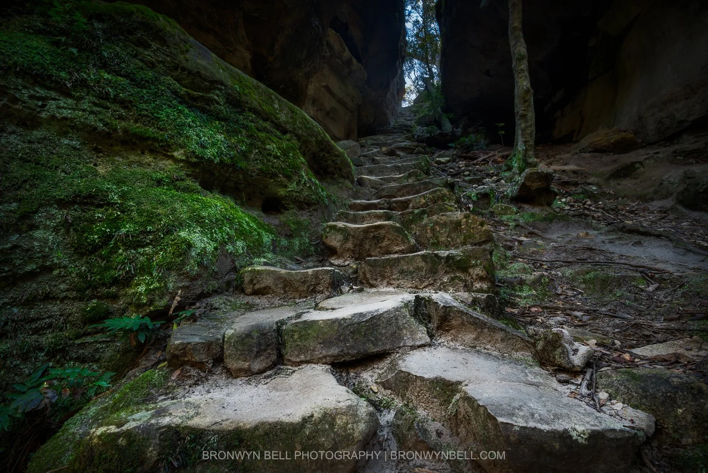 Mermaid’s Cave, Blackheath – A Lush Blue Mountains Photography Location