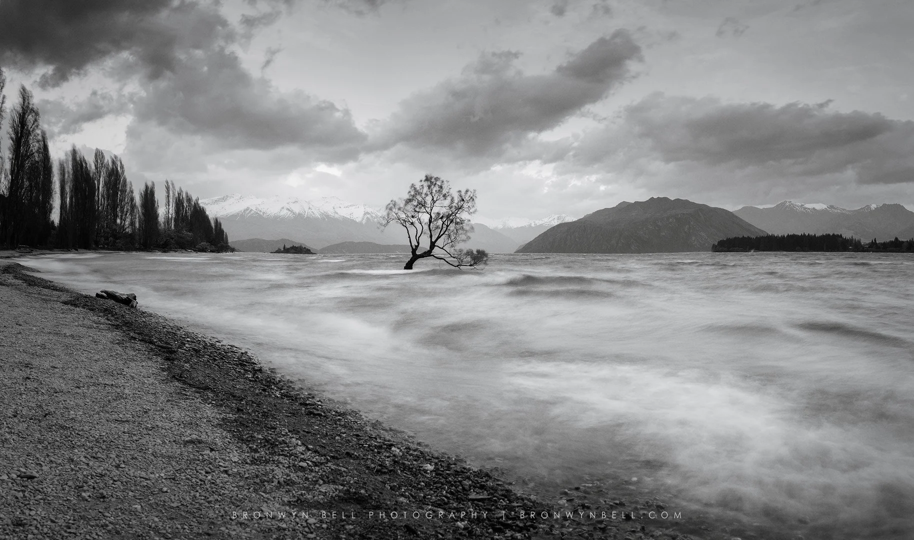 Black and white long exposure of the Wanaka tree with wind-driven waves across Lake Wanaka and distant mountain horizon in New Zealand.
