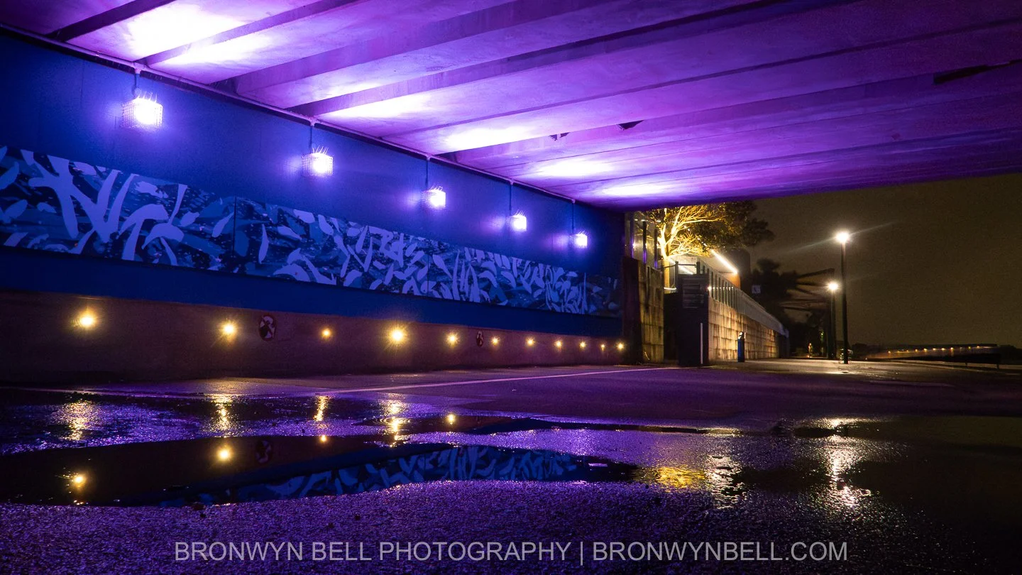 Rhdoes After Dark Series 2-2.jpg