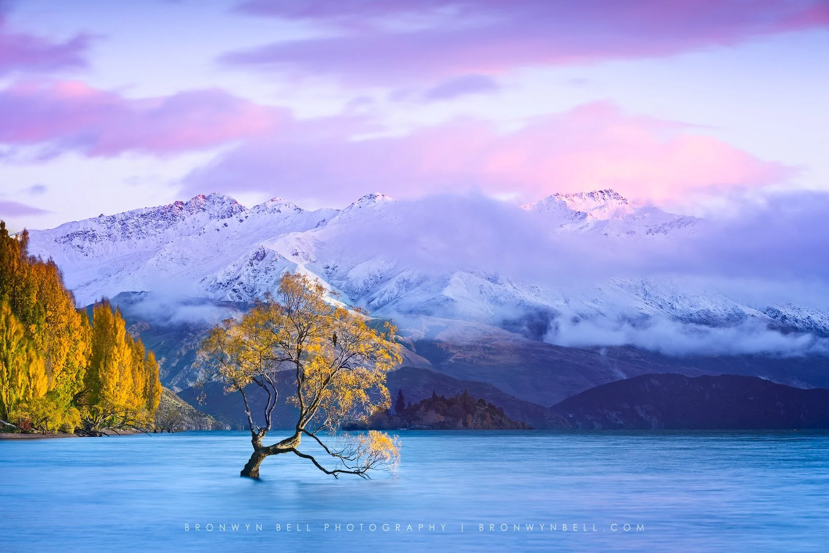 A landscape showing a snow-capped mountain range under a pink and purple sky, with clouds hovering around the mountains. In the foreground, a tree with yellow leaves grows partly submerged in a calm blue lake, and a cluster of trees with orange and g