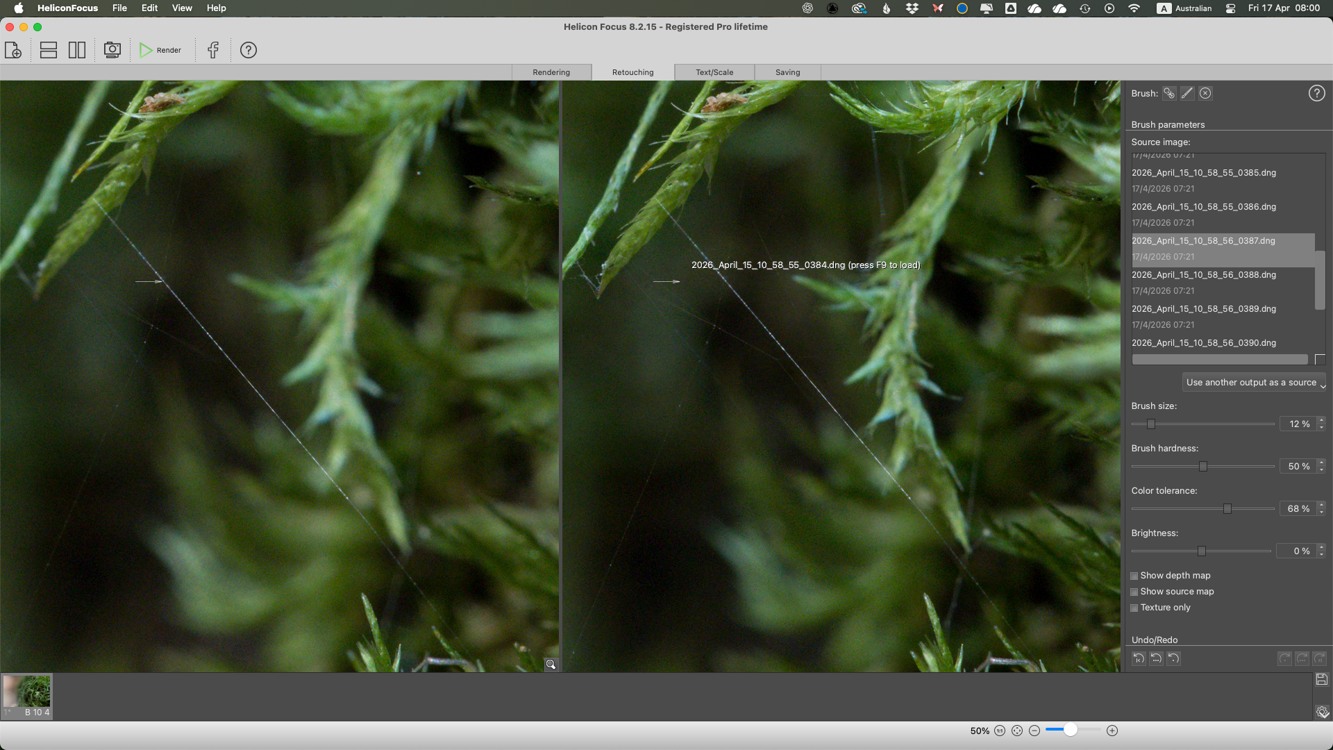 Helicon Focus stacking software editing settings