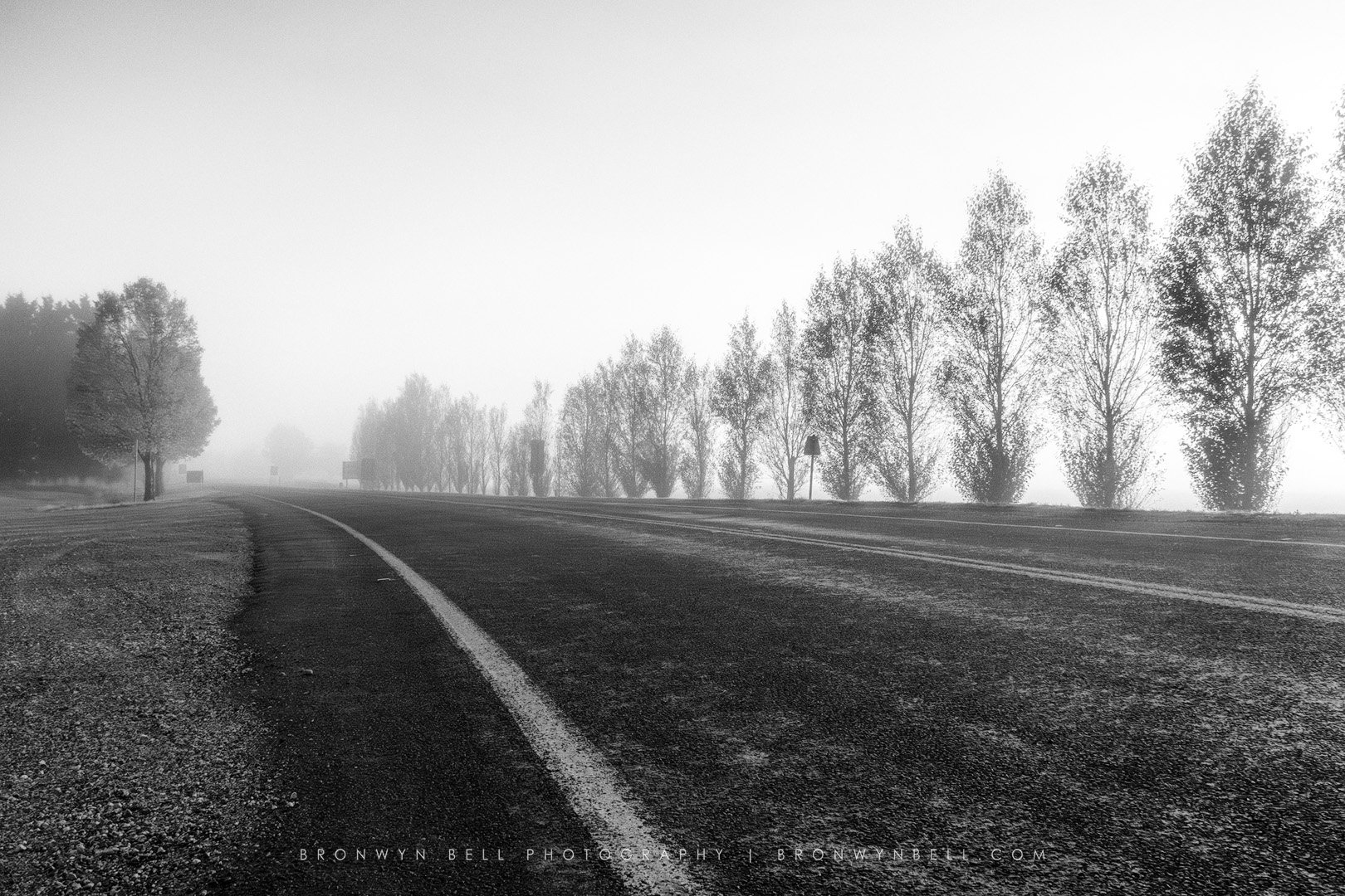 A black and white photograph of a foggy outdoor scene with a winding road, trees on both sides, and a misty background.