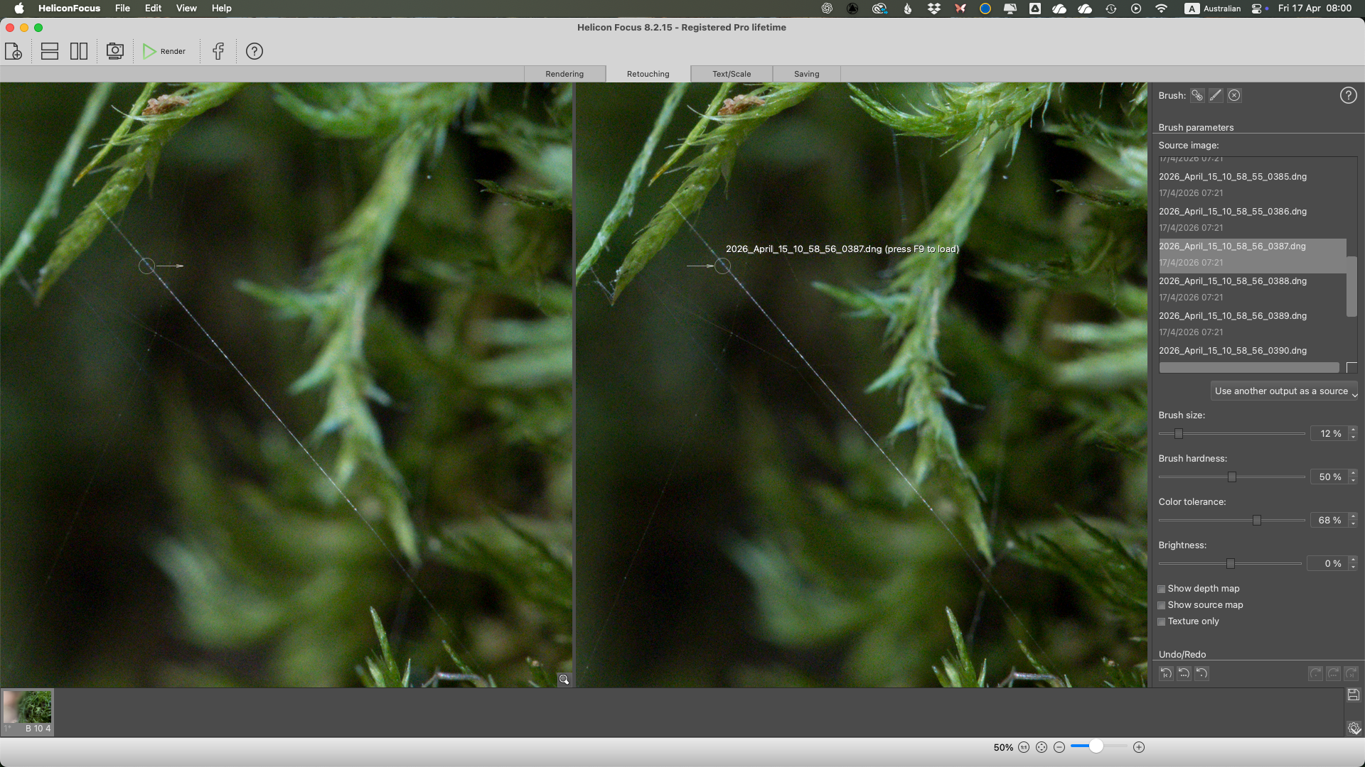 Heliconsoft Focus stacking software retouching screen editing