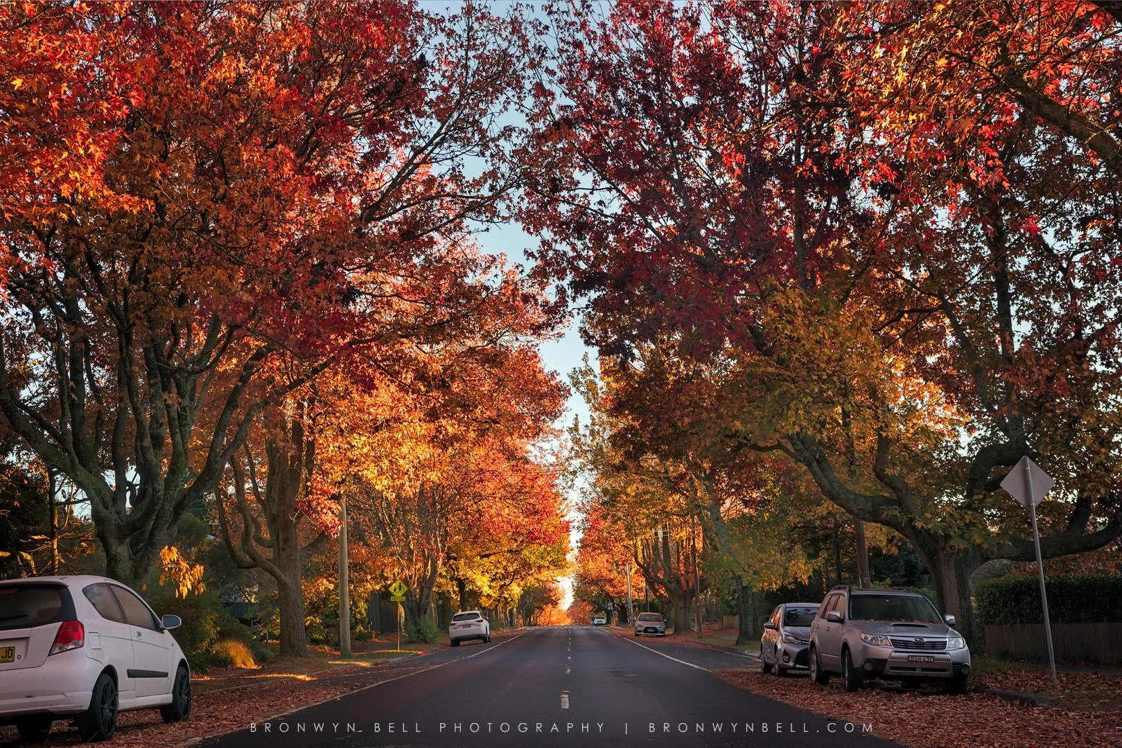 Blackheath-Autumn-Streetscape.jpg
