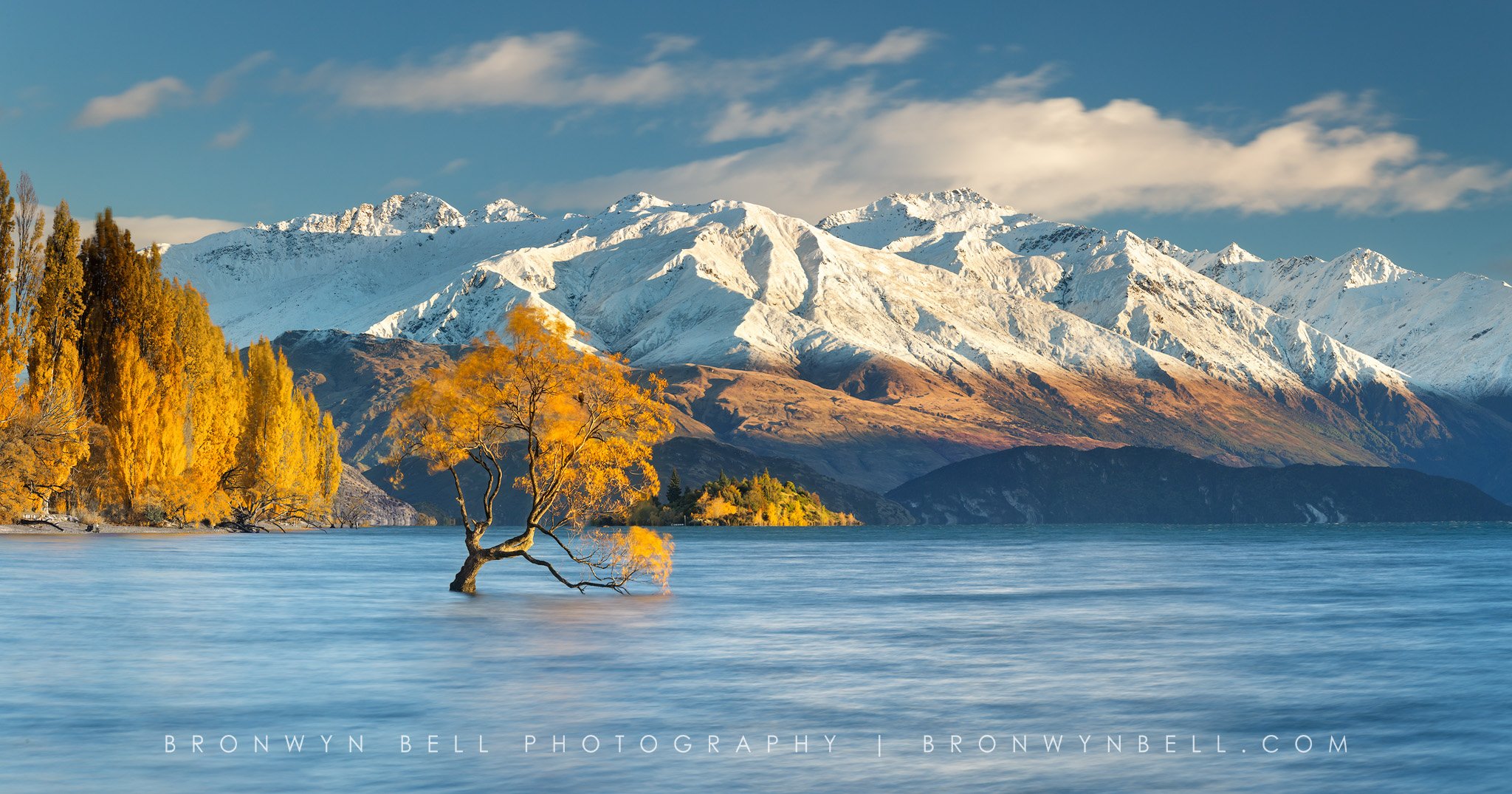 Scenic landscape of a lake with a solitary yellow tree in the water, lined with more trees on the left, with snow-capped mountains in the background under a partly cloudy sky.