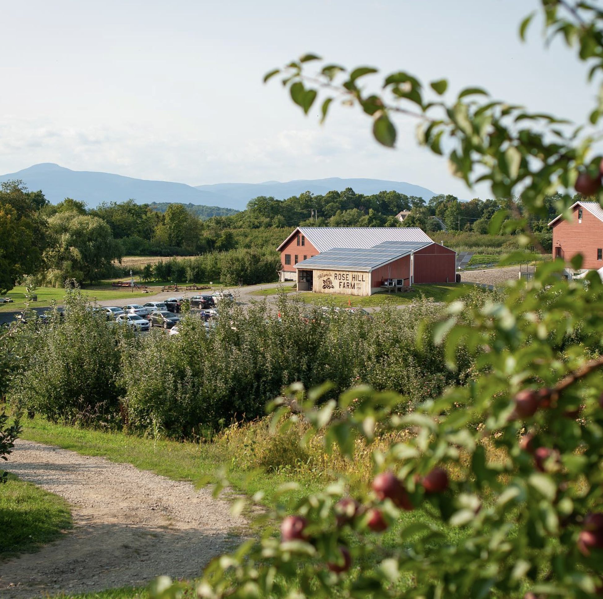 Rose Hill Farm