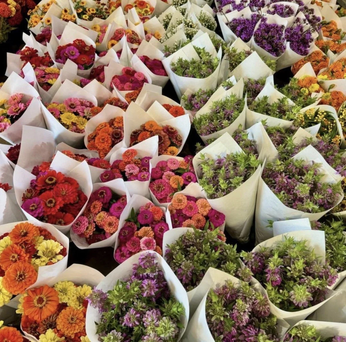 Rhinebeck Farmer's Market