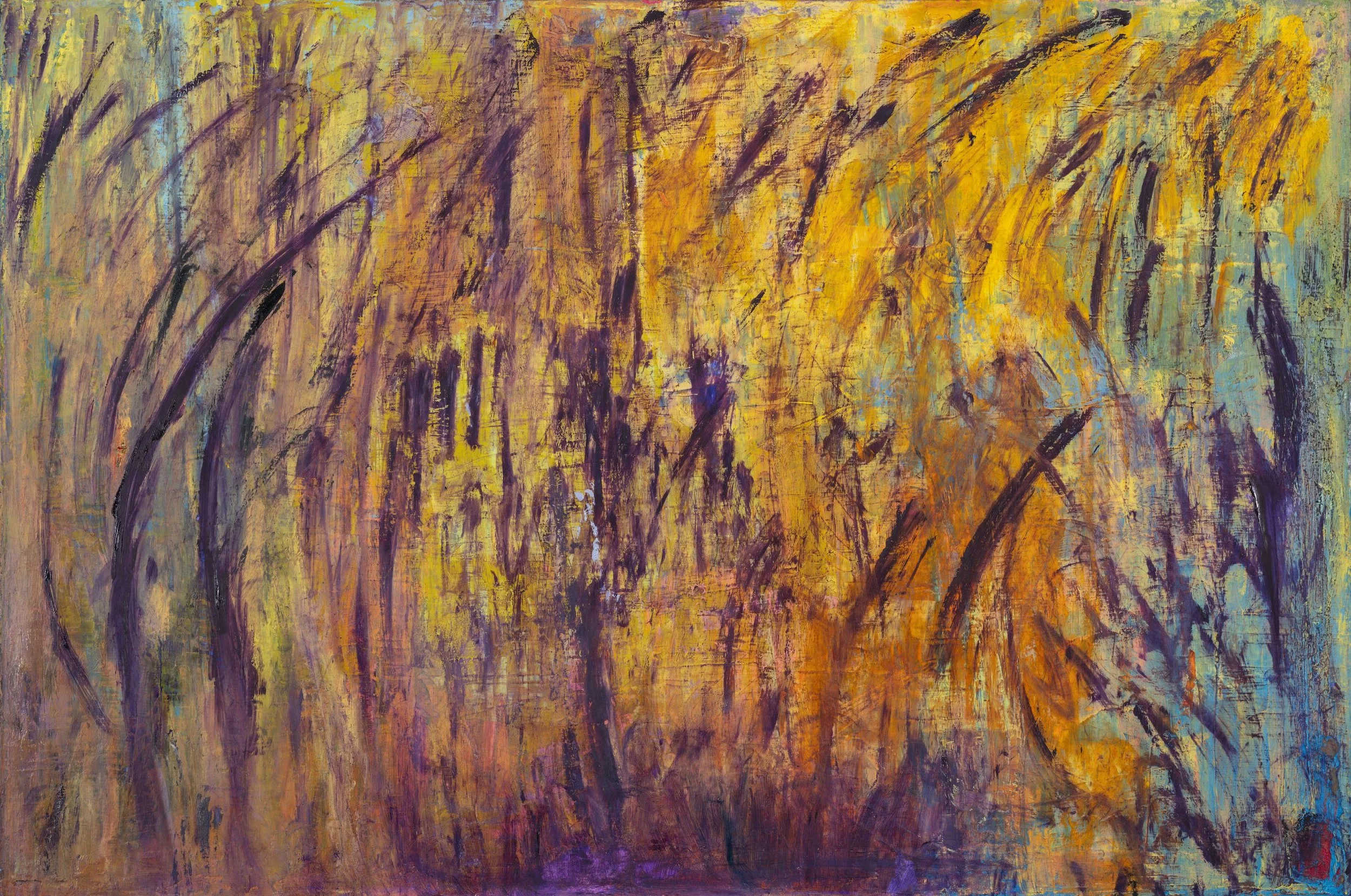 Sunlit Thicket /
Oil on Canvas /
20 x 20