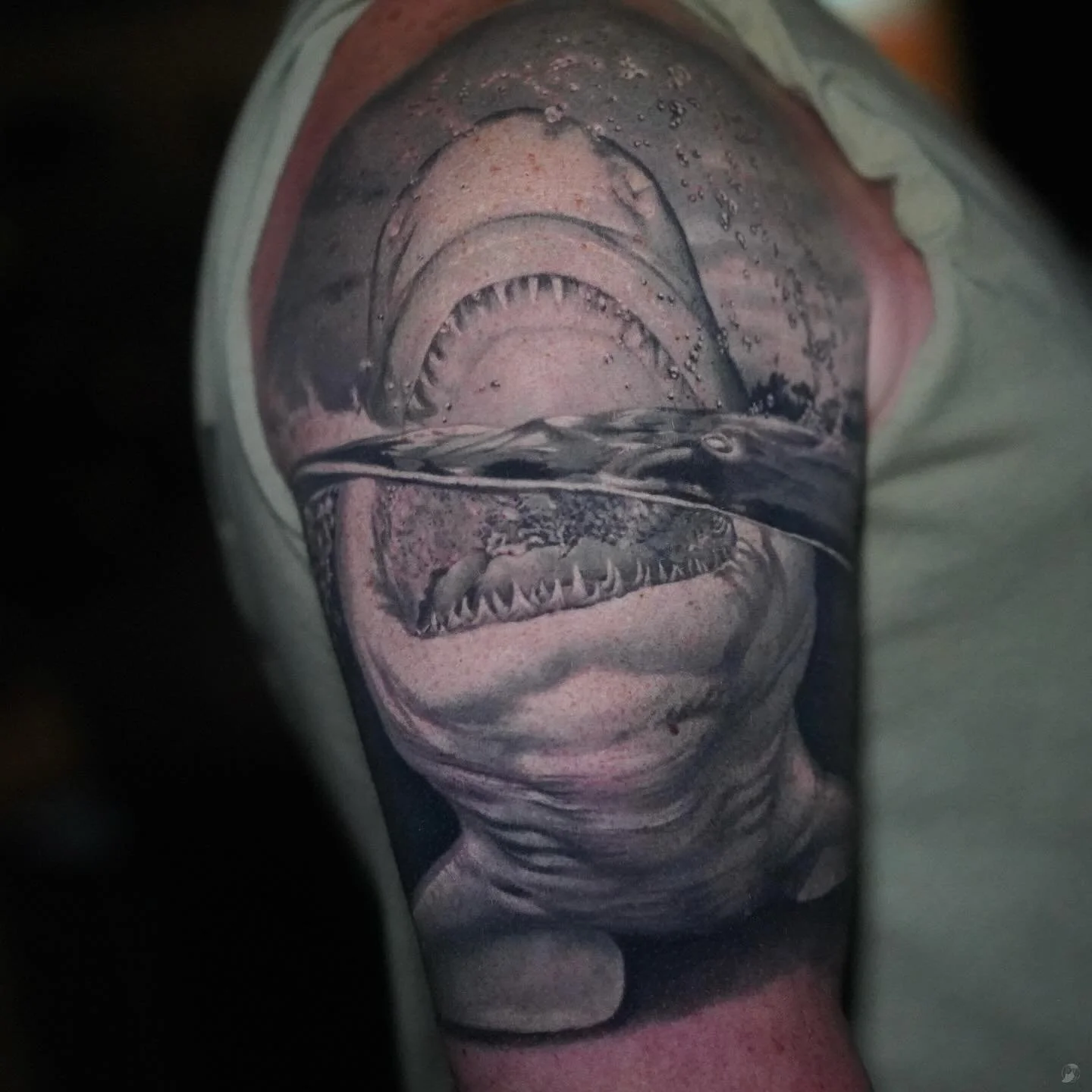shark_black_and_gray_stani_ink&dagger_atlanta00001.jpg
