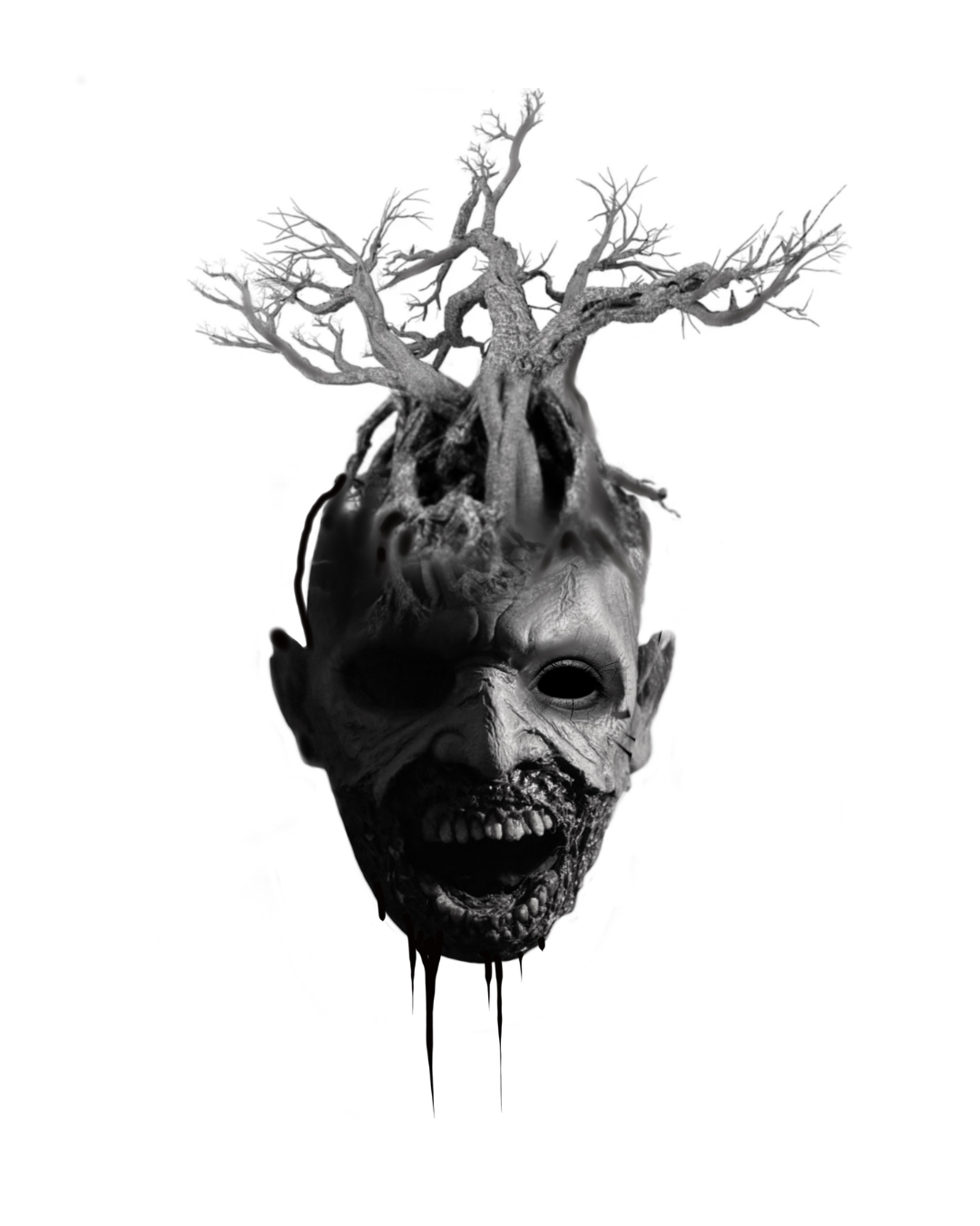 15.png