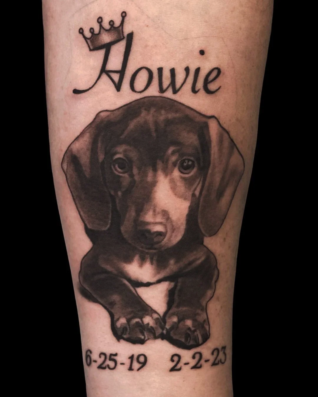 Dog Portrait done by @deadmess at Ink &amp; Dagger🐾

To book Flash or Custom tattoos with Matt, tap the link in our bio to fill out a booking form or give us a call at 770-692-4245! 

 #inkanddaggertattoo #roswell #roswelltattoo #roswelltattoos #ros
