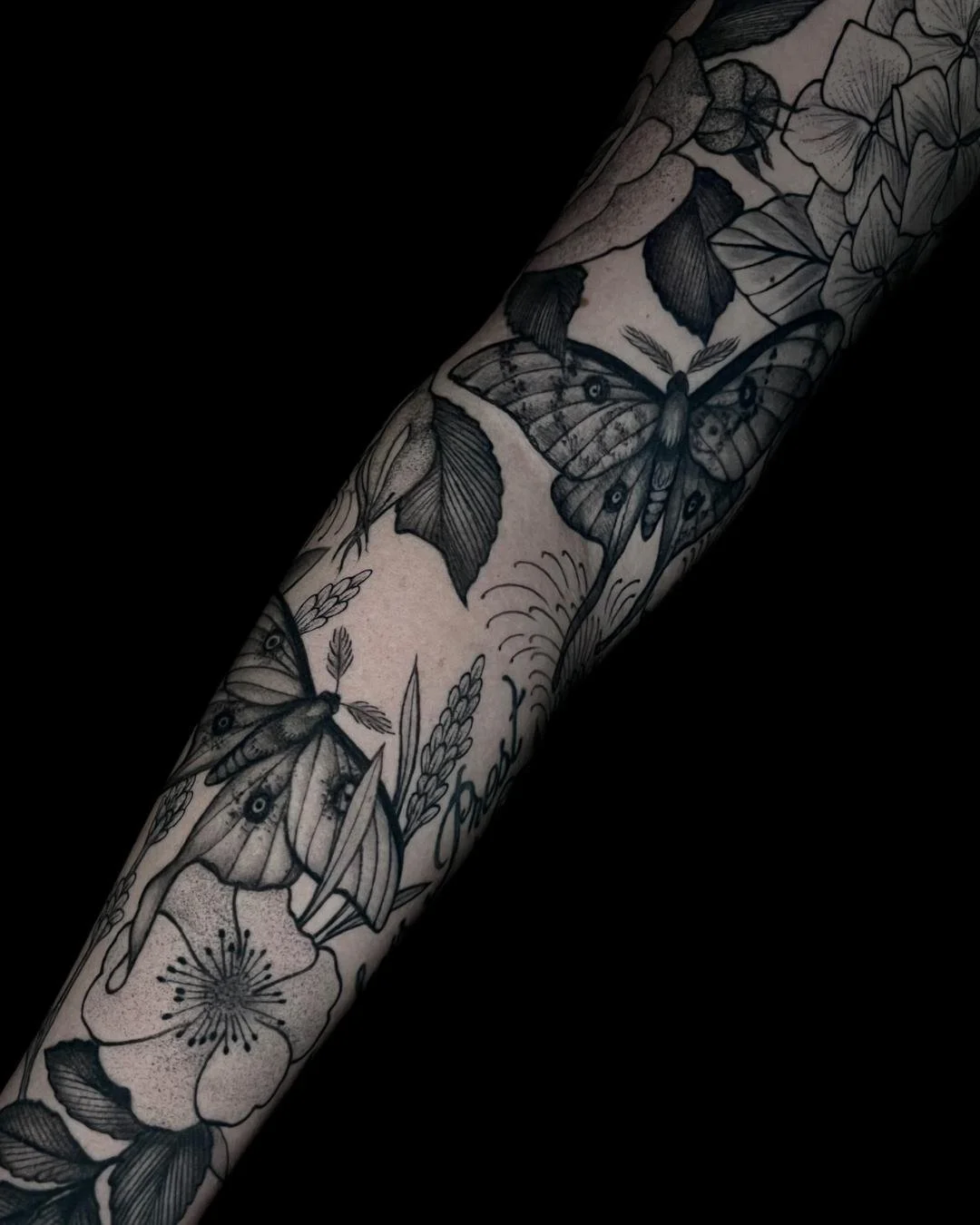 Moths and Roses Sleeve done by @ambergreytattoos at Ink &amp; Dagger🌹

To book Flash or Custom tattoos with Amber, tap the link in our bio to fill out a booking form or give us a call at 770-692-4245!

 #inkanddaggertattoo #roswell #roswelltattoo #r